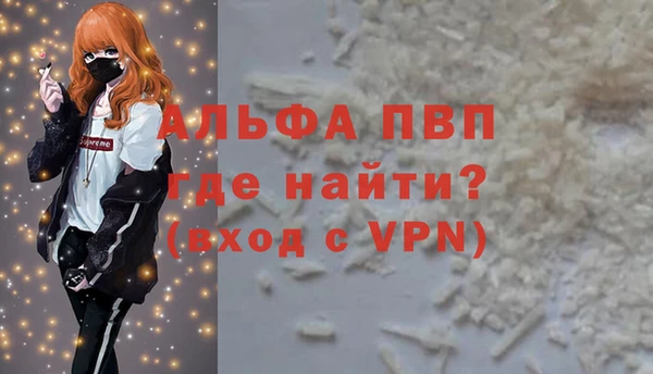 СК Зеленокумск