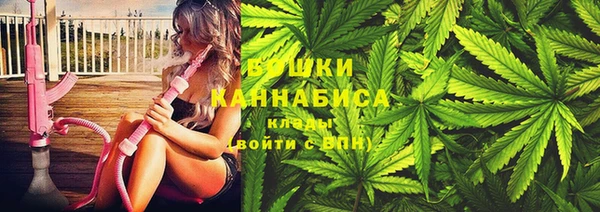 СК Зеленокумск