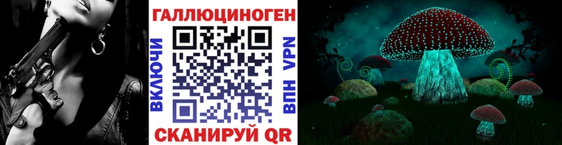 Галлюциногенные грибы Psilocybine cubensis  Купить где  Кириллов 